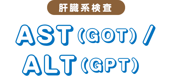 AST（GOT）/ALT（GPT）
