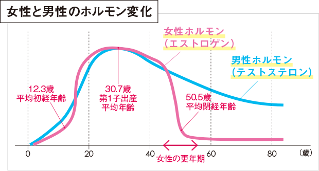 女性と男性のホルモン変化