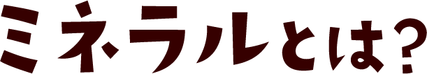 ミネラルとは？