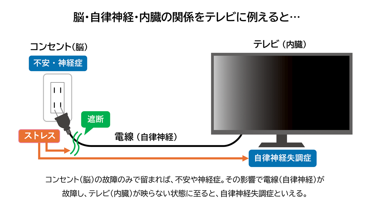 脳・自律神経・内臓の関係をテレビに例えると…コンセント（脳）の故障のみで留まれば、不安や神経症。その影響で電線（自律神経）が故障し、テレビ（内臓）がうつらない状態になると、自律神経失調症といえる。