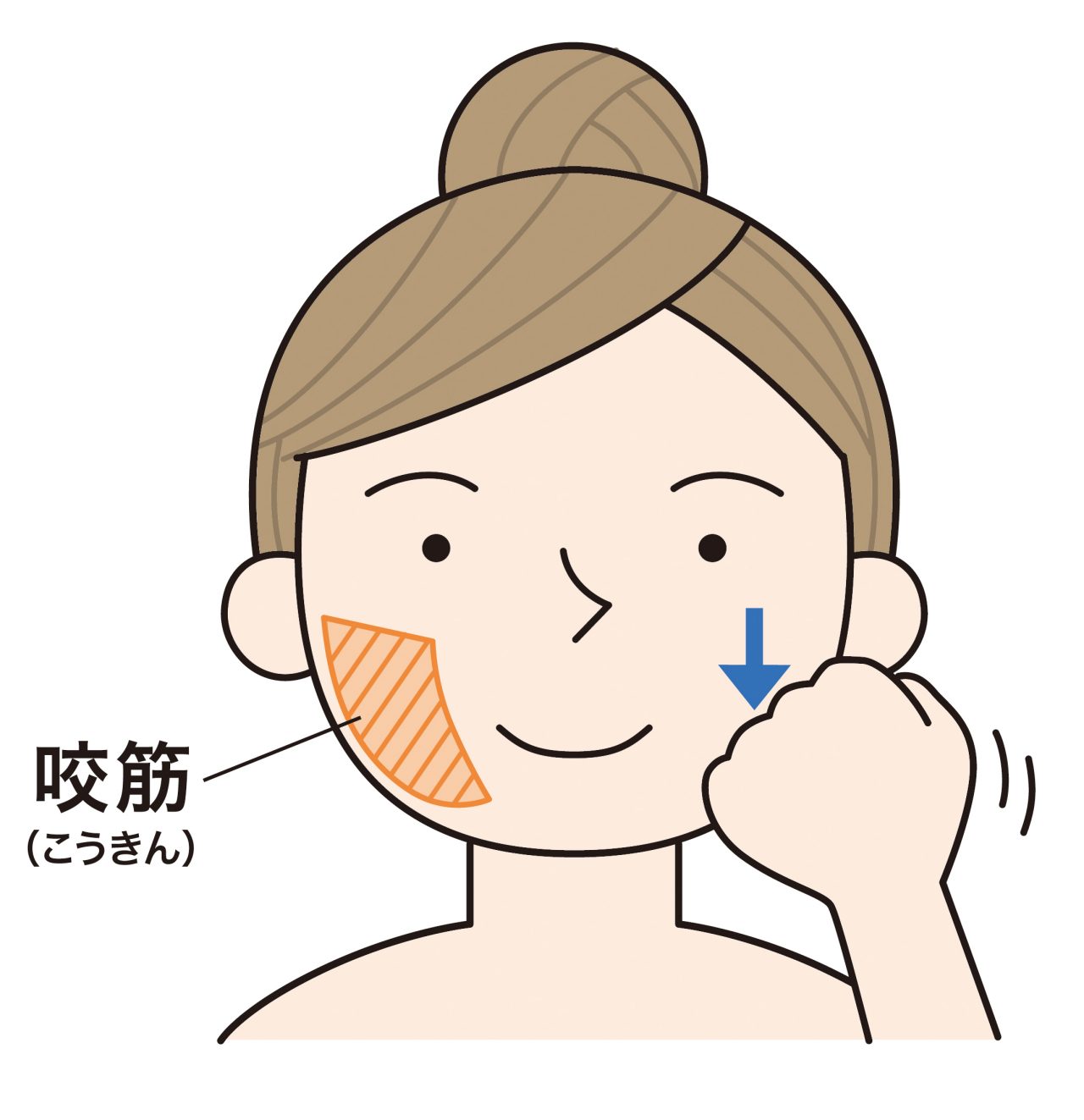 口周りを緩める咬筋マッサージ。げんこつを作り第1関節と第2関節の間を使って、あご骨の下から顎先に向けてなで下ろす。