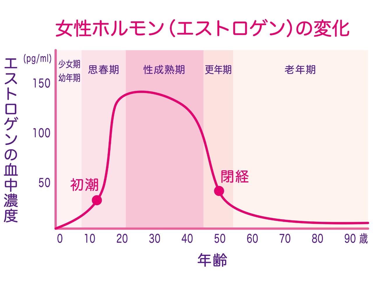 女性ホルモン（エストロゲン）の変化