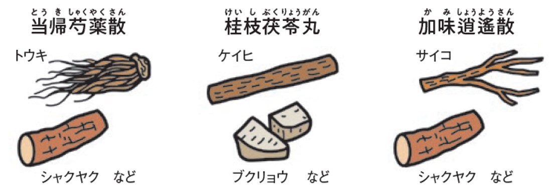 更年期症状に用いられる三大漢方薬