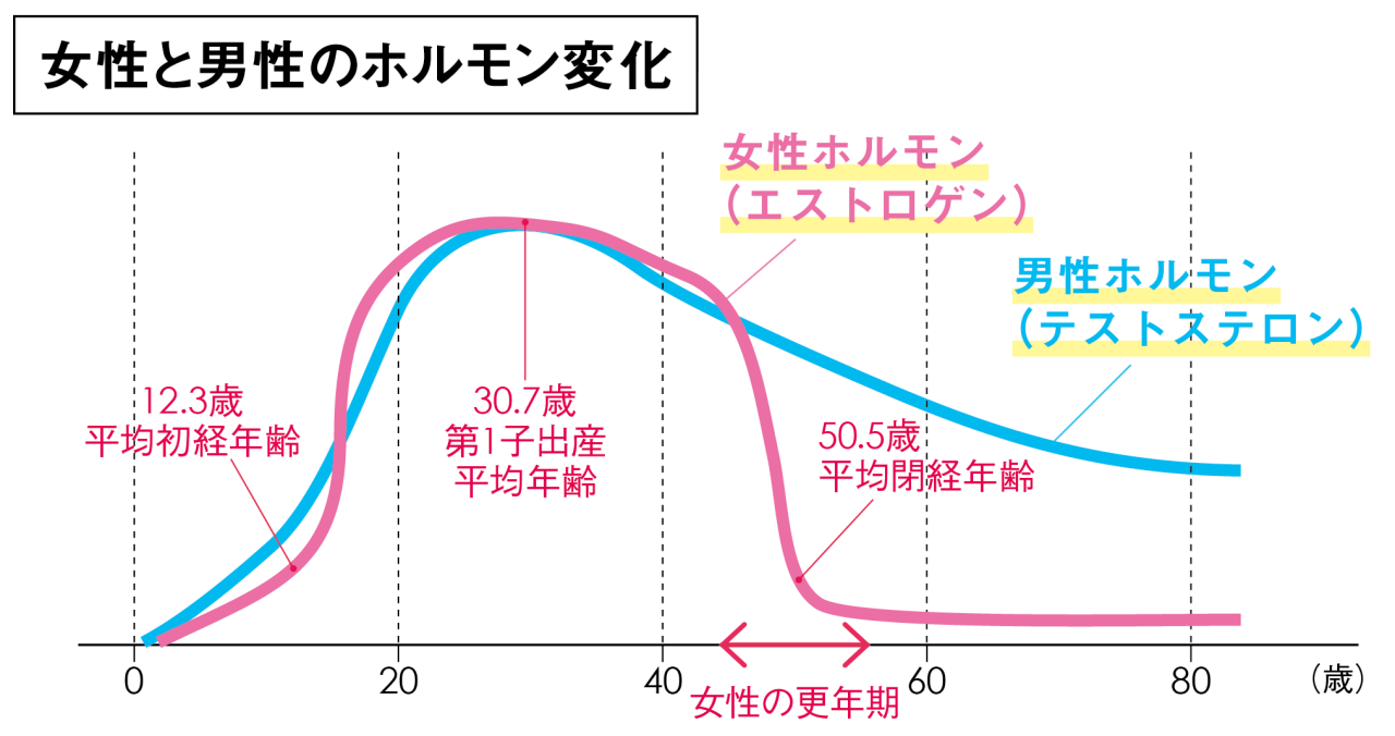 乳がんのリスクを高めるホルモンの変化