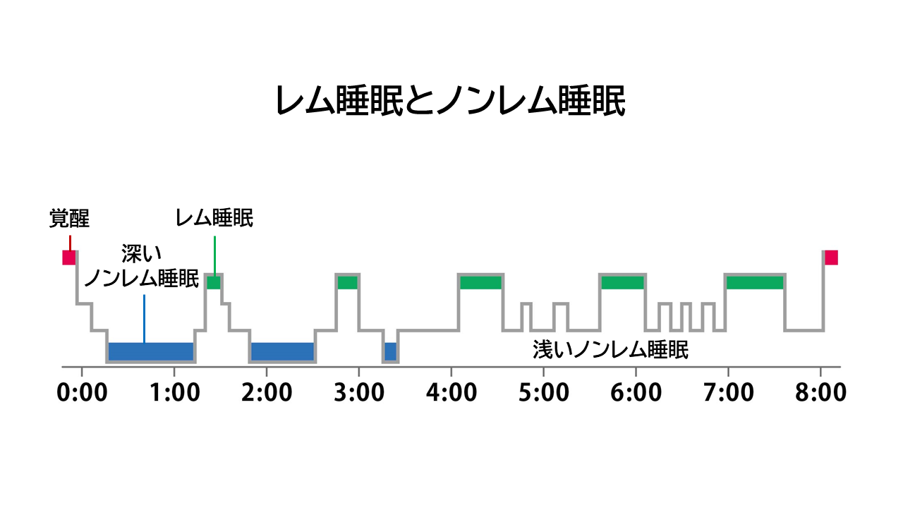 「ノンレム睡眠」と「レム睡眠」