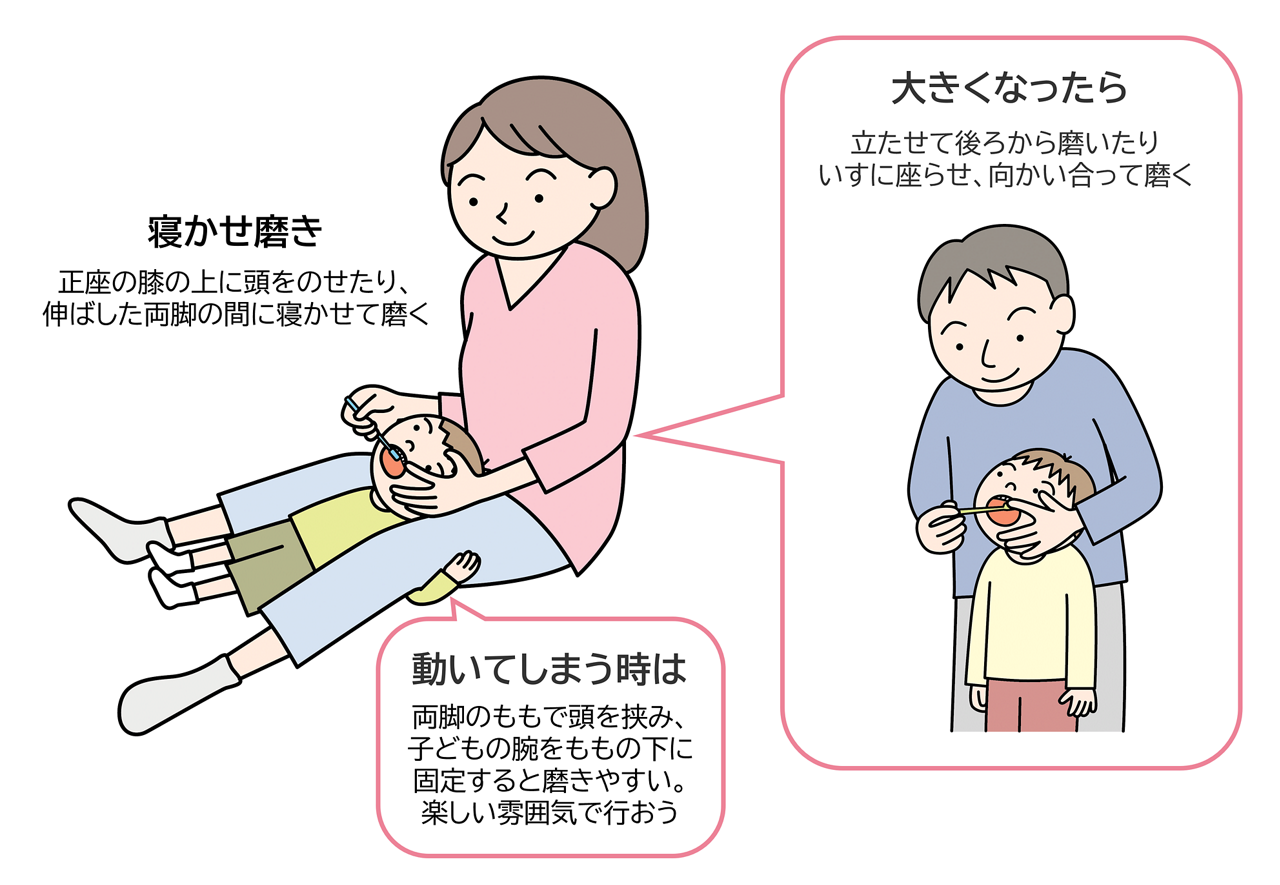 保護者が正座をしてその上に寝かせたり、伸ばした両脚の間に寝かせたりして磨く「寝かせ磨き」の姿勢が基本です。動いてしまう場合は、両脚のももで頭を挟み、腕を固定して行うと磨きやすいでしょう。子どもが大きくなり、不用意に動く心配がなくなってきたら、立たせて後ろから磨いたり、いすに座って向かい合わせに磨いたりしてもよいでしょう。