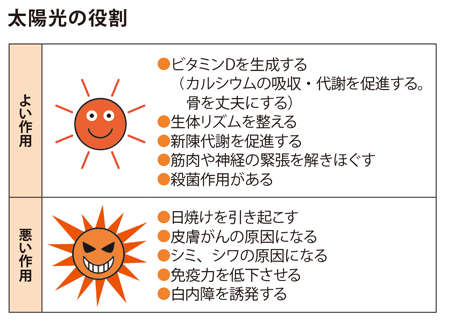 太陽光の役割