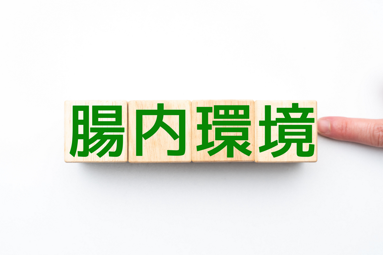 腸内環境のイメージ画像