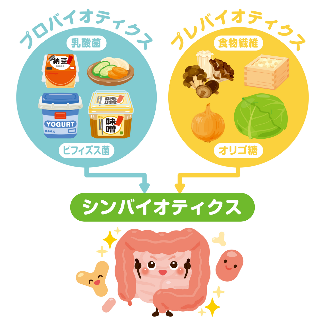 ヨーグルトや納豆などの発酵食品に含まれる乳酸菌やビフィズス菌などの善玉菌（プロバイオティクス）と、善玉菌のエサになる食物繊維やオリゴ糖（プレバイオティクス）の両方を摂る「シンバイオティクス」のイメージ図