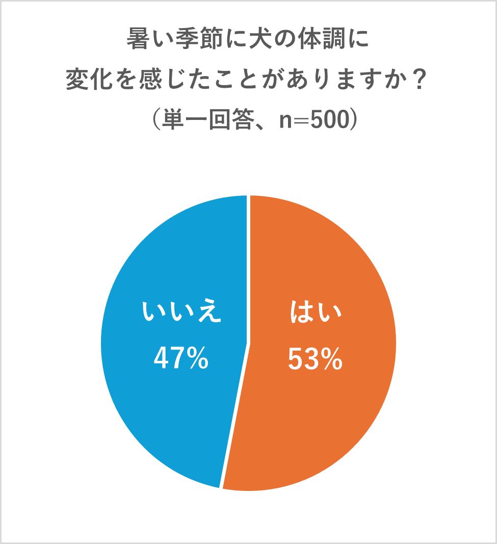 暑い季節に犬の体調に変化を感じたことがあるかどうかのグラフ。「はい」と答えた飼い主は53％