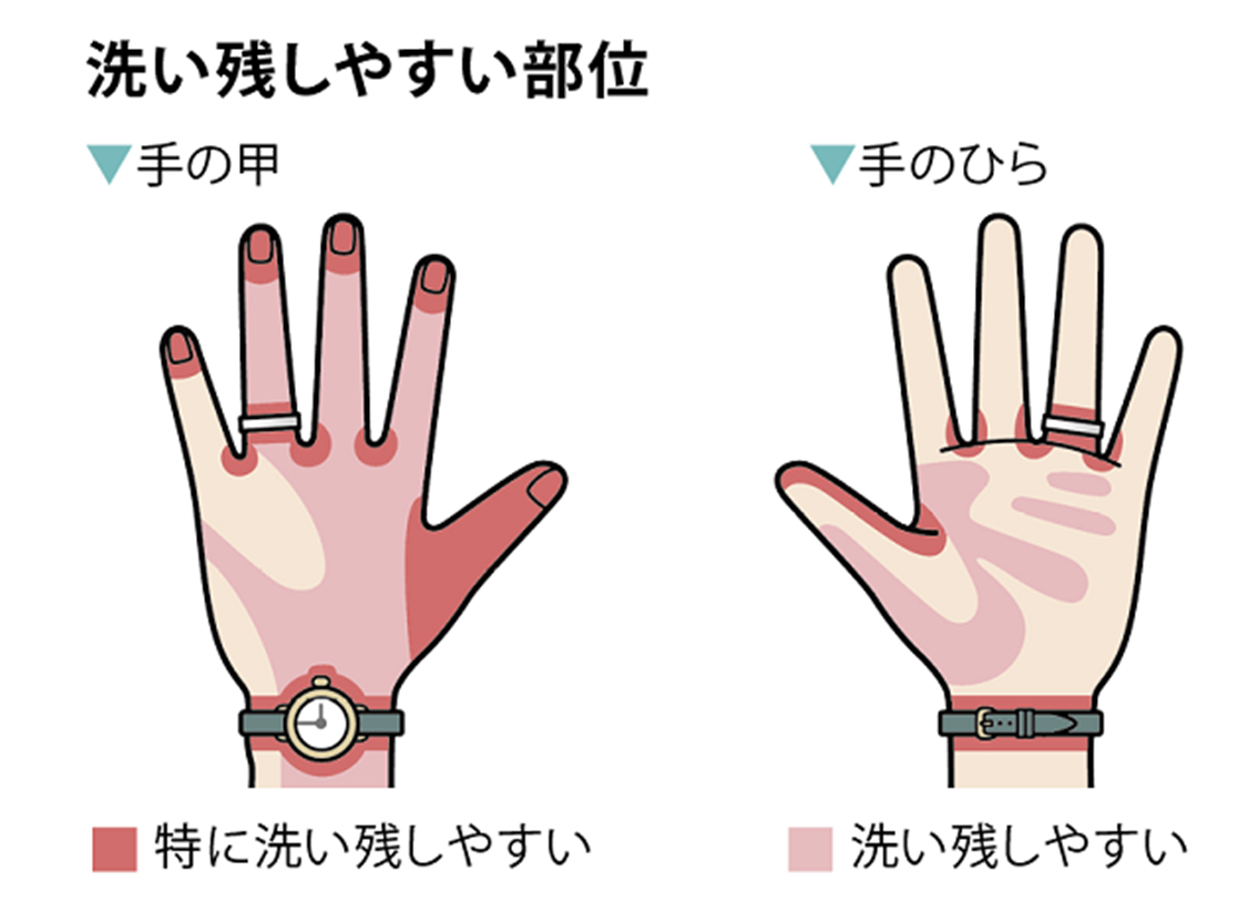 手洗いで特に洗い残しやすい指の股や爪の間、親指のつけ根、手首のイラスト。
