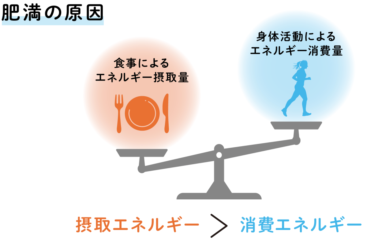 肥満の原因が、摂取エネルギーが消費エネルギーを上回ることを表すイメージ図