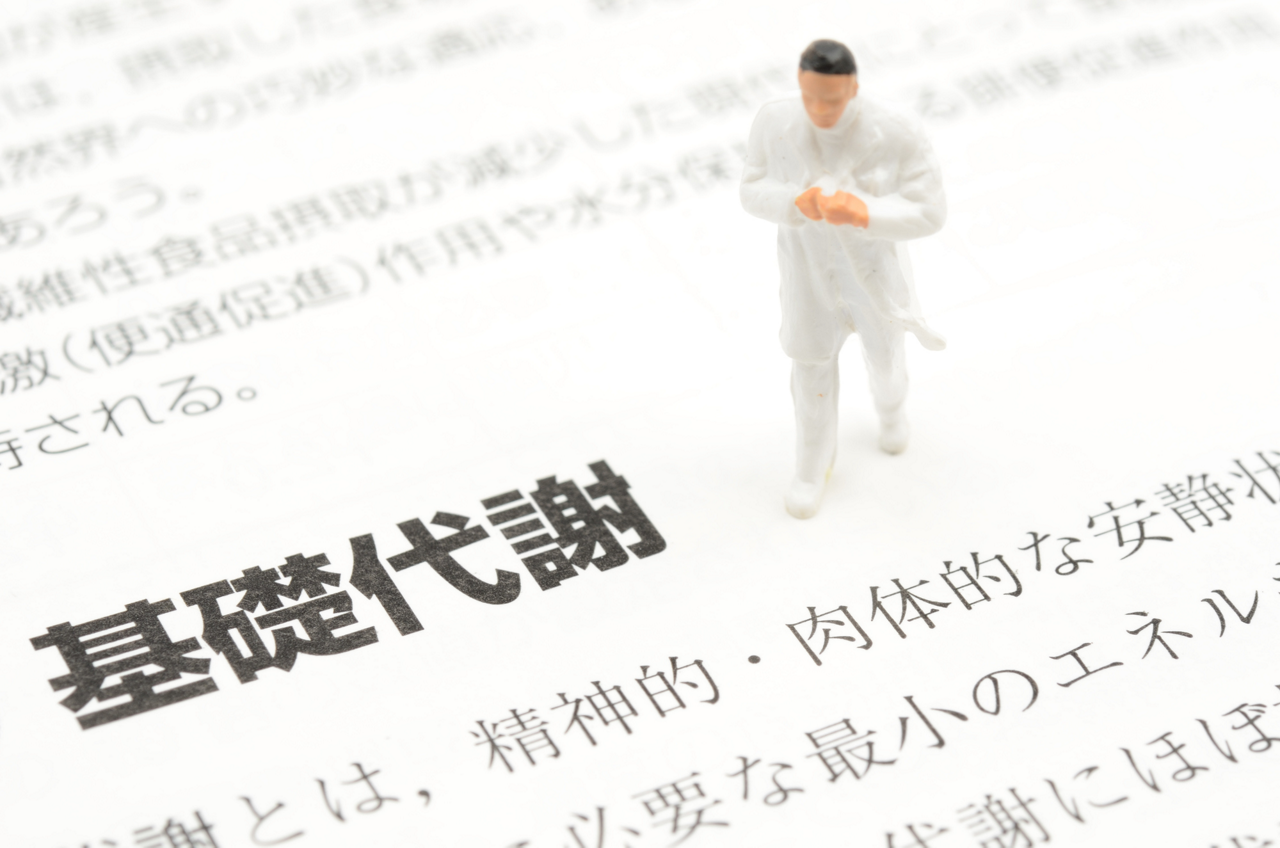 基礎代謝のイメージイラスト