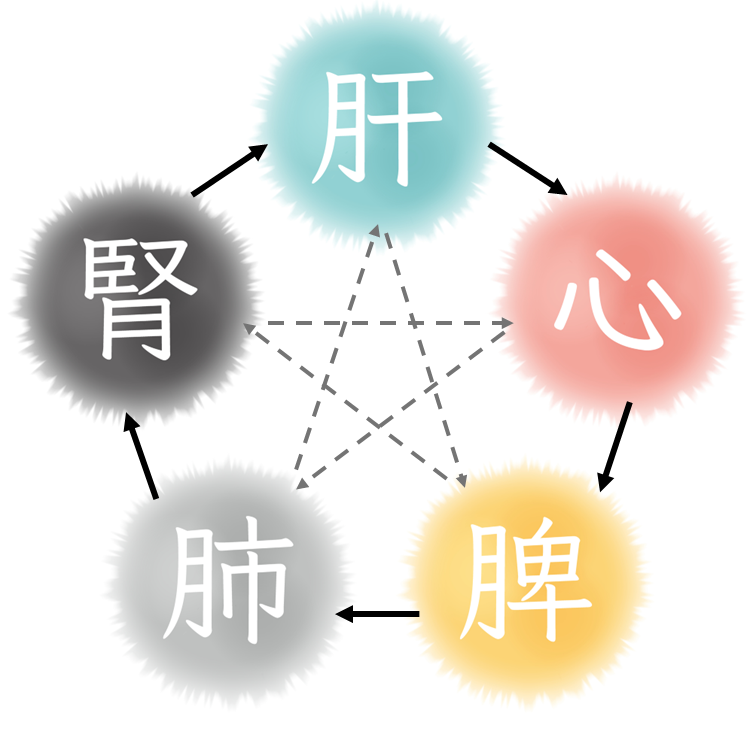 東洋医学には自然は5つの要素で構成されるという「五行論（ごぎょうろん）」があり、体の主要な機能も「肝・心・脾（ひ）・肺・腎」の五臓の働きに分けられ、それぞれが影響しあいながら健康を保っているイメージ図