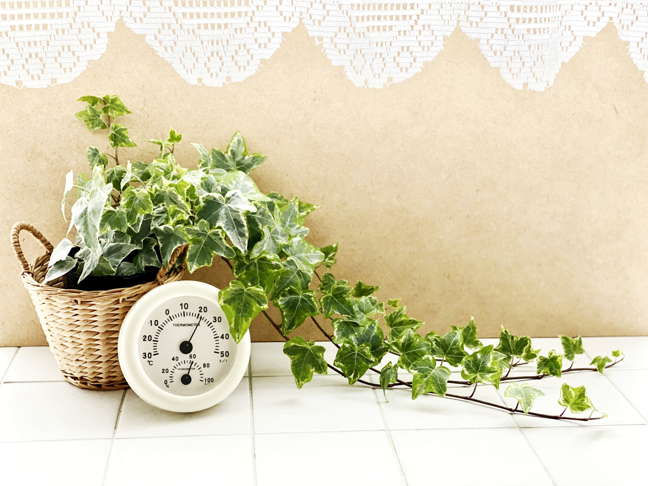 気温計や湿度計のイメージ画像