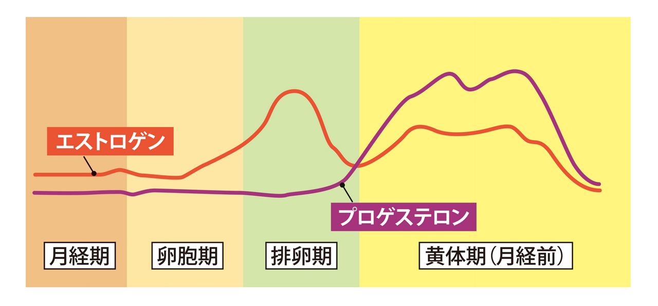 生理前のプロゲステロン分泌量の増加を表すグラフ