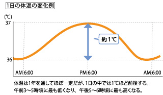 １日の体温の変化例