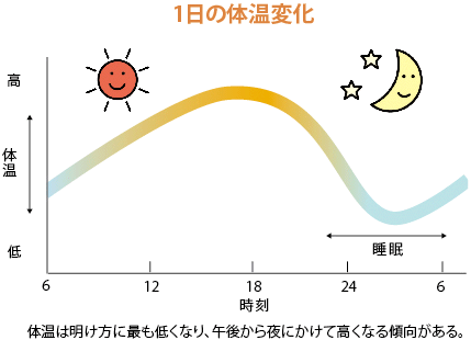 １日の体温変化