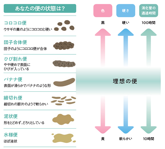 あなたの便の状態は？