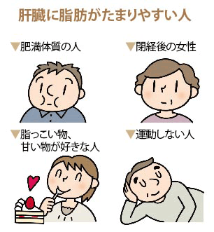 肝臓に脂肪がたまりやすい人