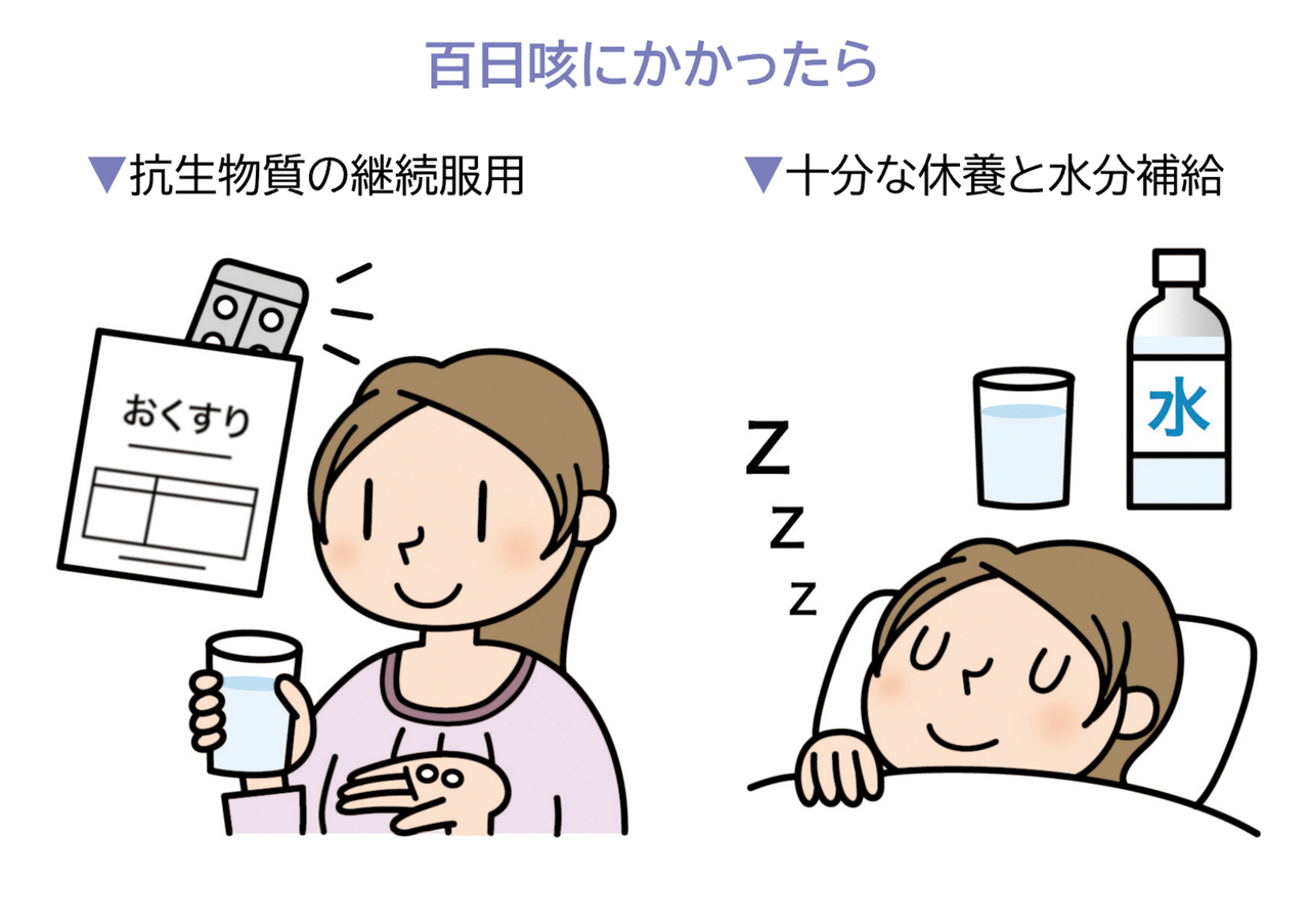 百日咳にかかったら、抗生物質の継続服用、十分な水分補給をする。