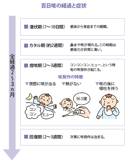 百日咳の経過と症状