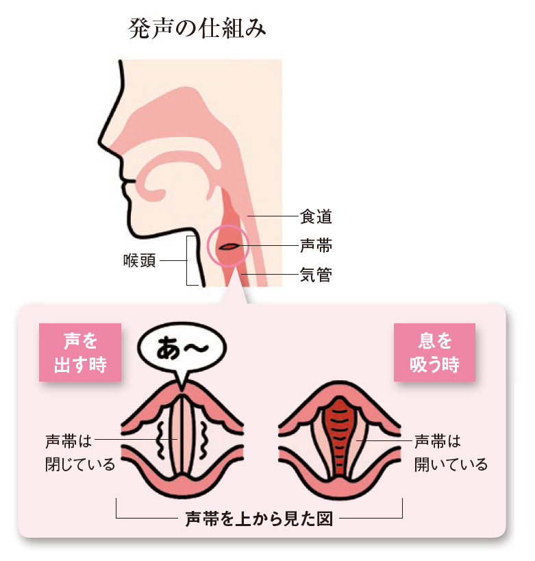 発生の仕組み