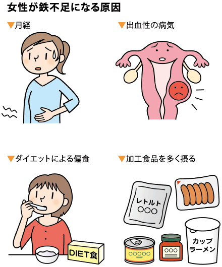 女性が鉄不足になる原因