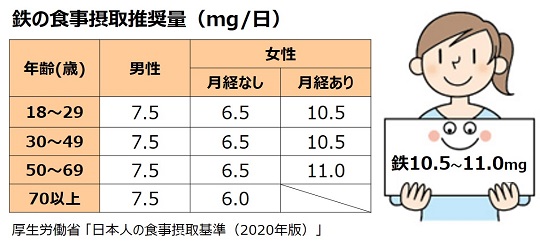 鉄の食事摂取推奨量