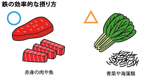 鉄の効率的な摂り方