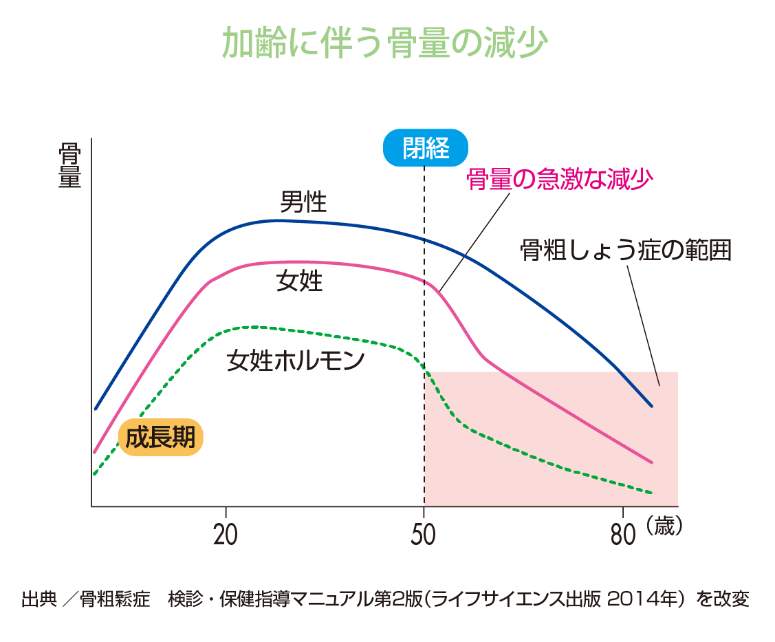 加齢に伴う骨量の減少