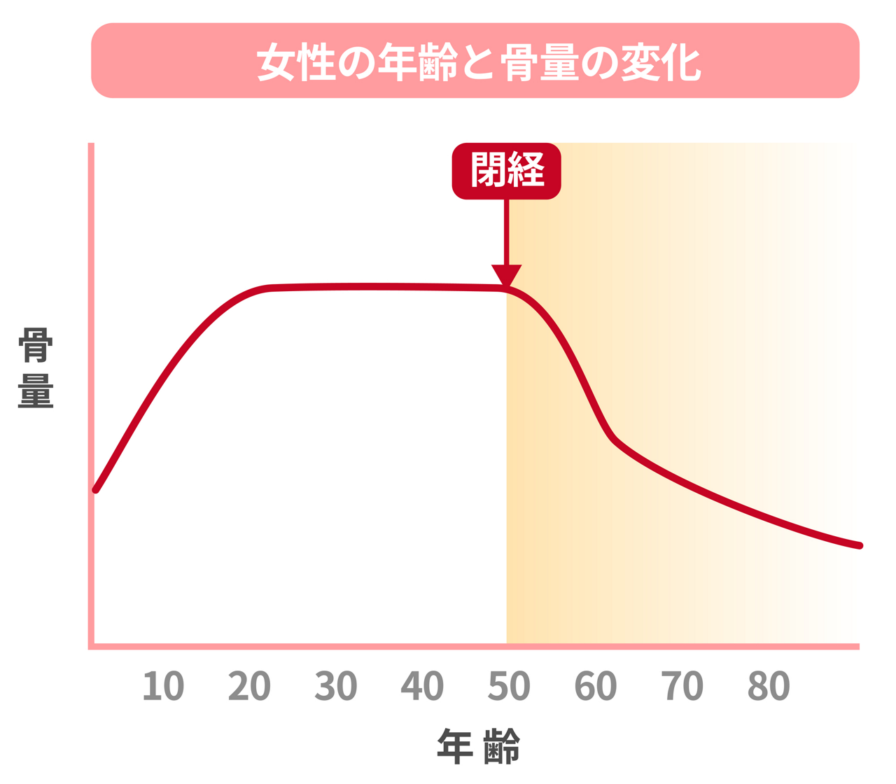 加齢に伴う骨量の減少