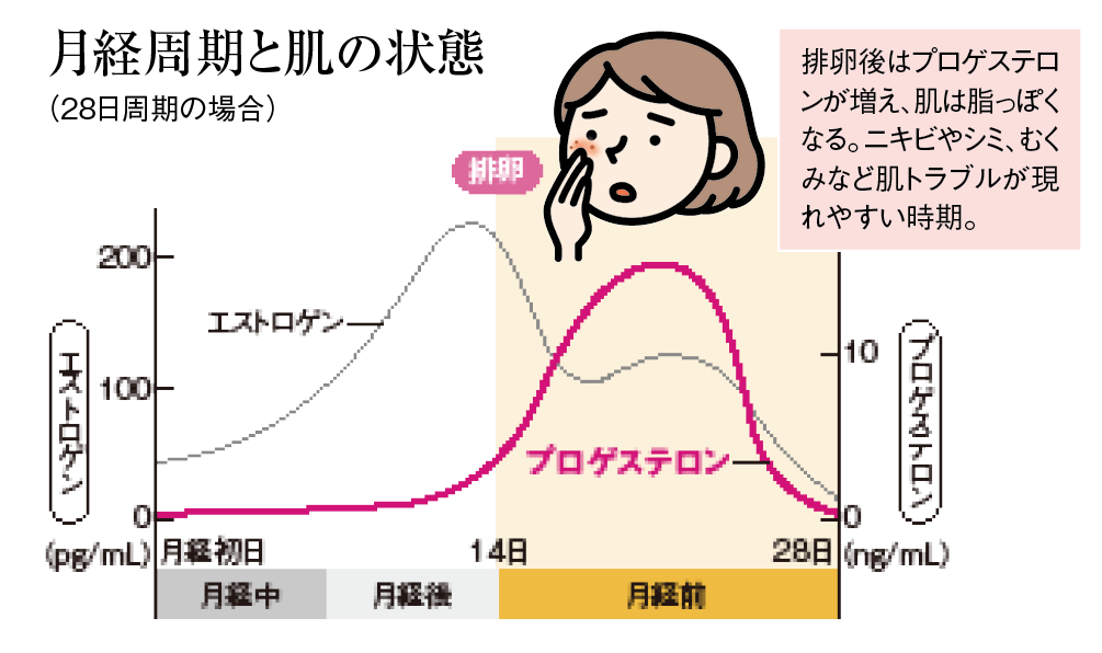 月経周期と肌の状態