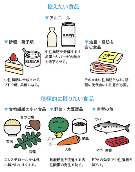 中性脂肪を減らす食習慣のポイント