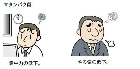 タンパク質