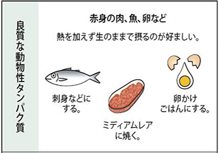 良質な動物性タンパク質