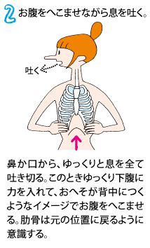 呼吸で腹筋を引き締めよう２