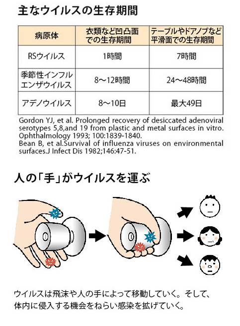 主なウイルスの生存期間