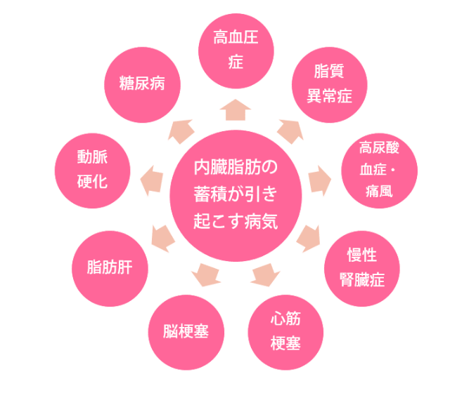 内臓脂肪の蓄積が引き起こす病気