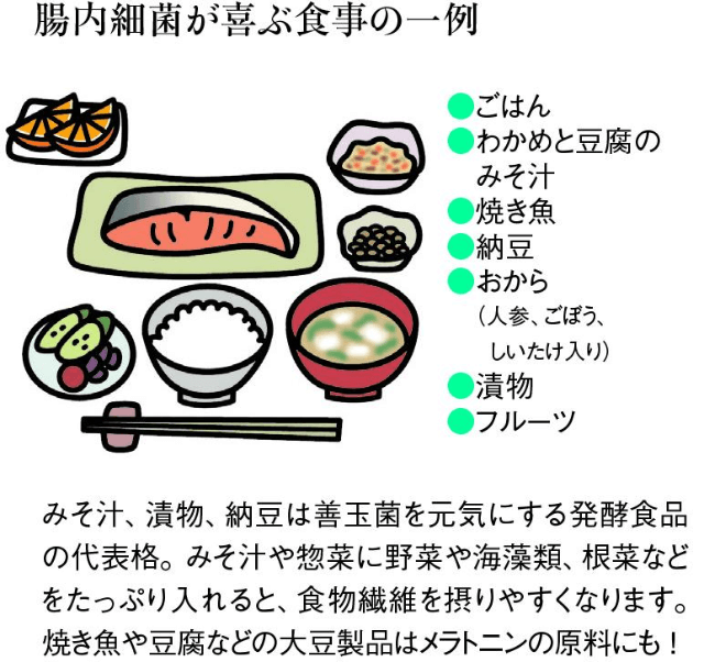 腸内細菌が喜ぶ食事の一例