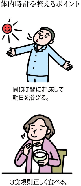 体内時計を整えるポイント