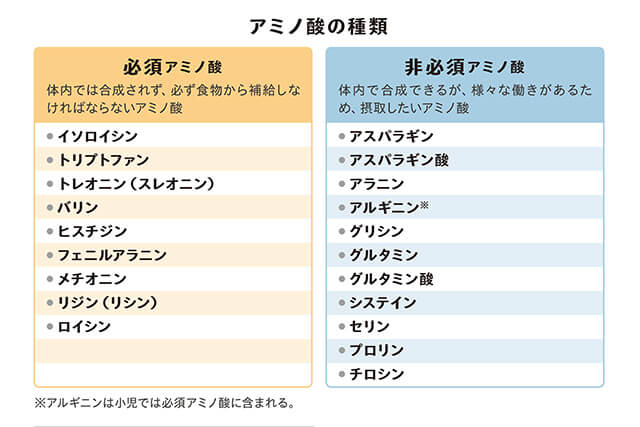 アミノ酸の種類