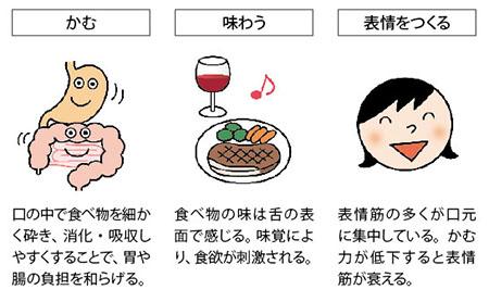 口の役割は、「かむ」「味わう」「表情をつくる」