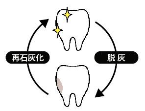 唾液に含まれるカルシウムやリン酸は、日常的に歯の表面のエナメル質を修復し、脱灰による虫歯の進行を防いでいます（再石灰化作用）