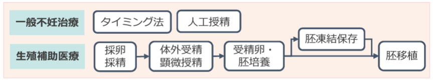 一般不妊治療のタイミング法、人工授精、生殖補助医療の採卵・採精、体外受精・顕微授精、受精卵・胚培養、胚凍結保存、胚移植にも保険適用の範囲に