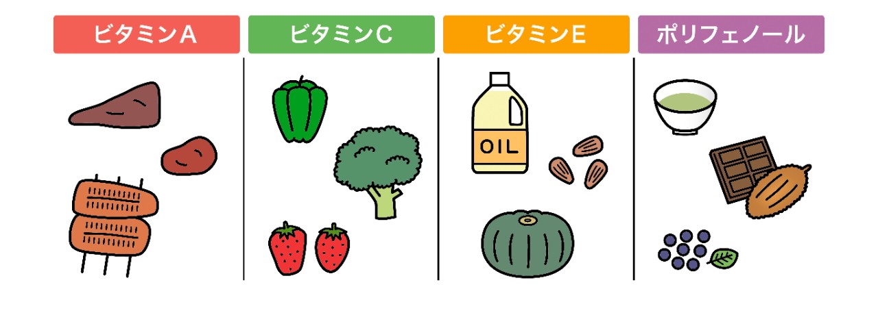 ビタミンA・C・E、ポリフェノール類が多く含まれる食材一覧