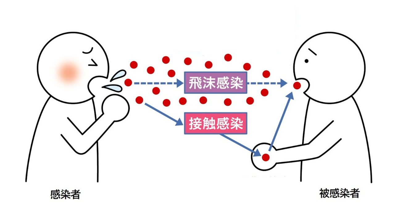飛沫感染と接触感染のイメージイラスト