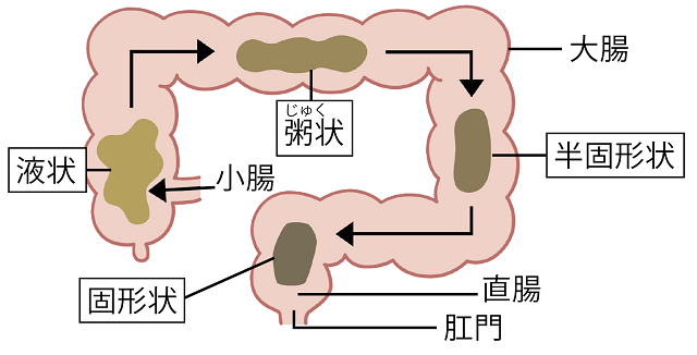 機能性便秘