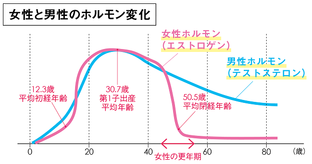 女性と男性のホルモン変化