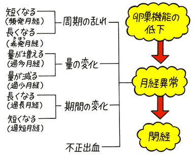 月経症状の変化